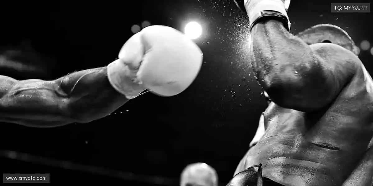 🌍【赛事集结】从英超到 NBA,你的专属赛事库!